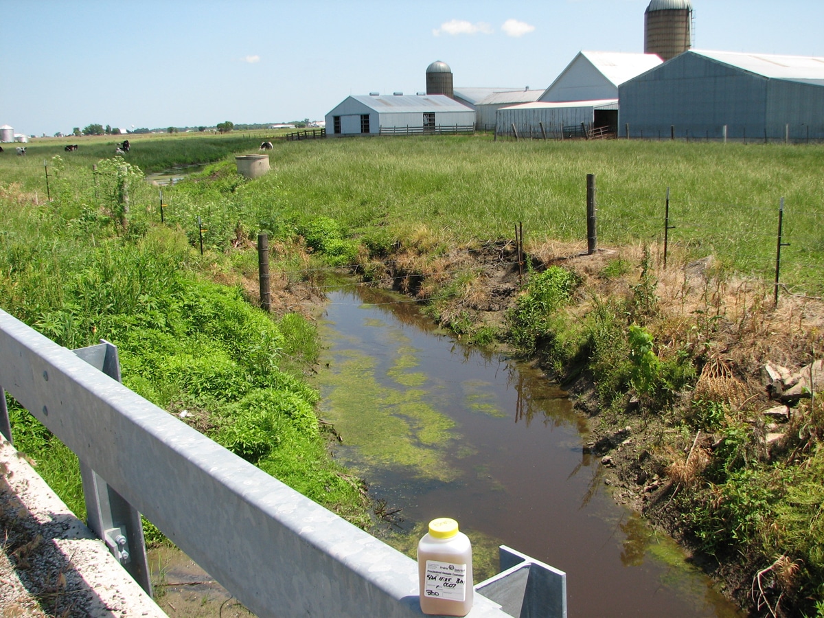 factory-farms-2-steps-in-the-right-direction-prairie-rivers-network