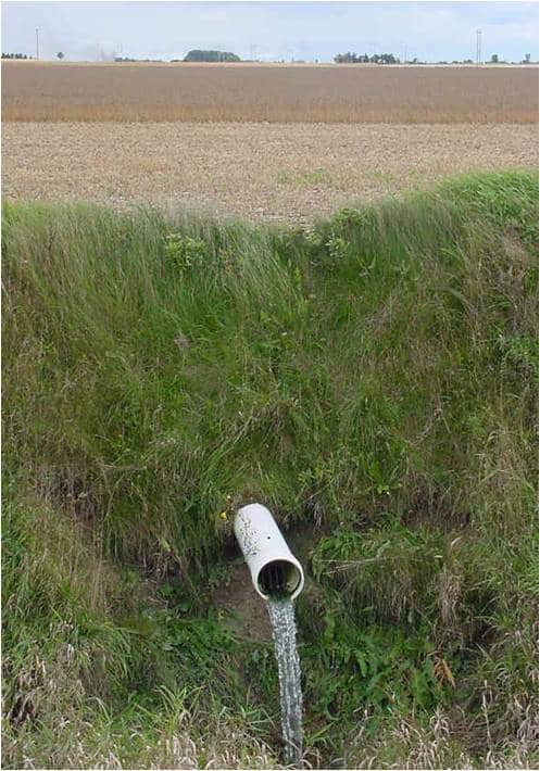 Agricultural Runoff Nutrient Pollution Prairie Rivers Network