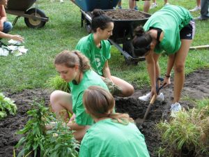 compressed students planting garden