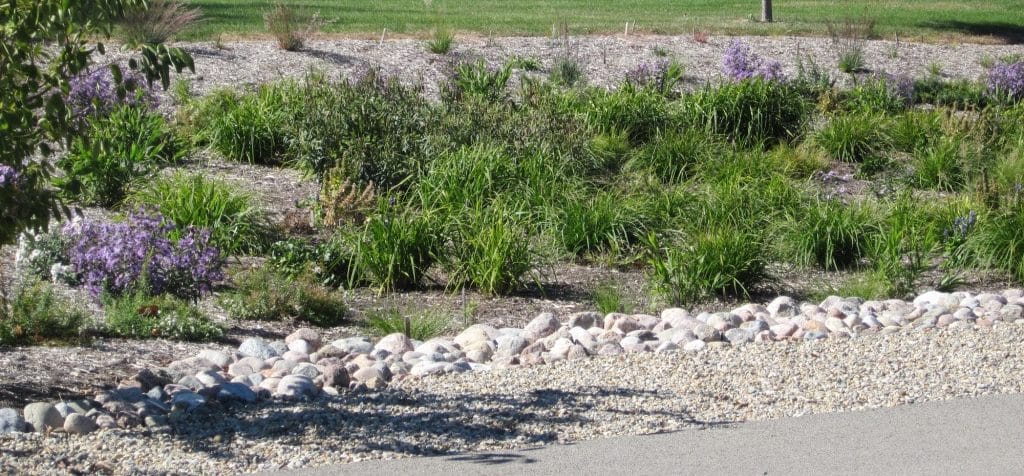 Rain Garden, Oak Lawn IL