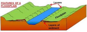 features of a floodplain