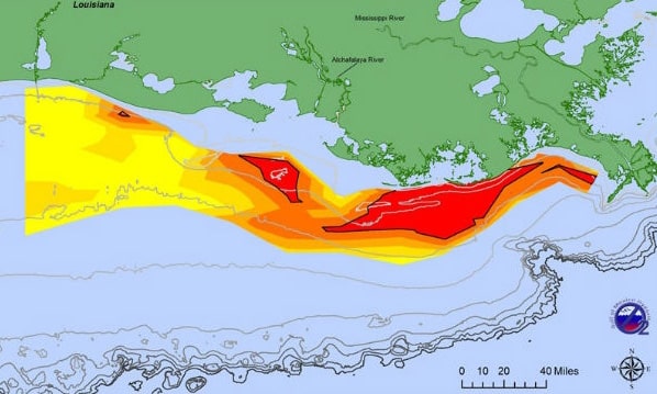 Gulf of Mexico Dead Zone