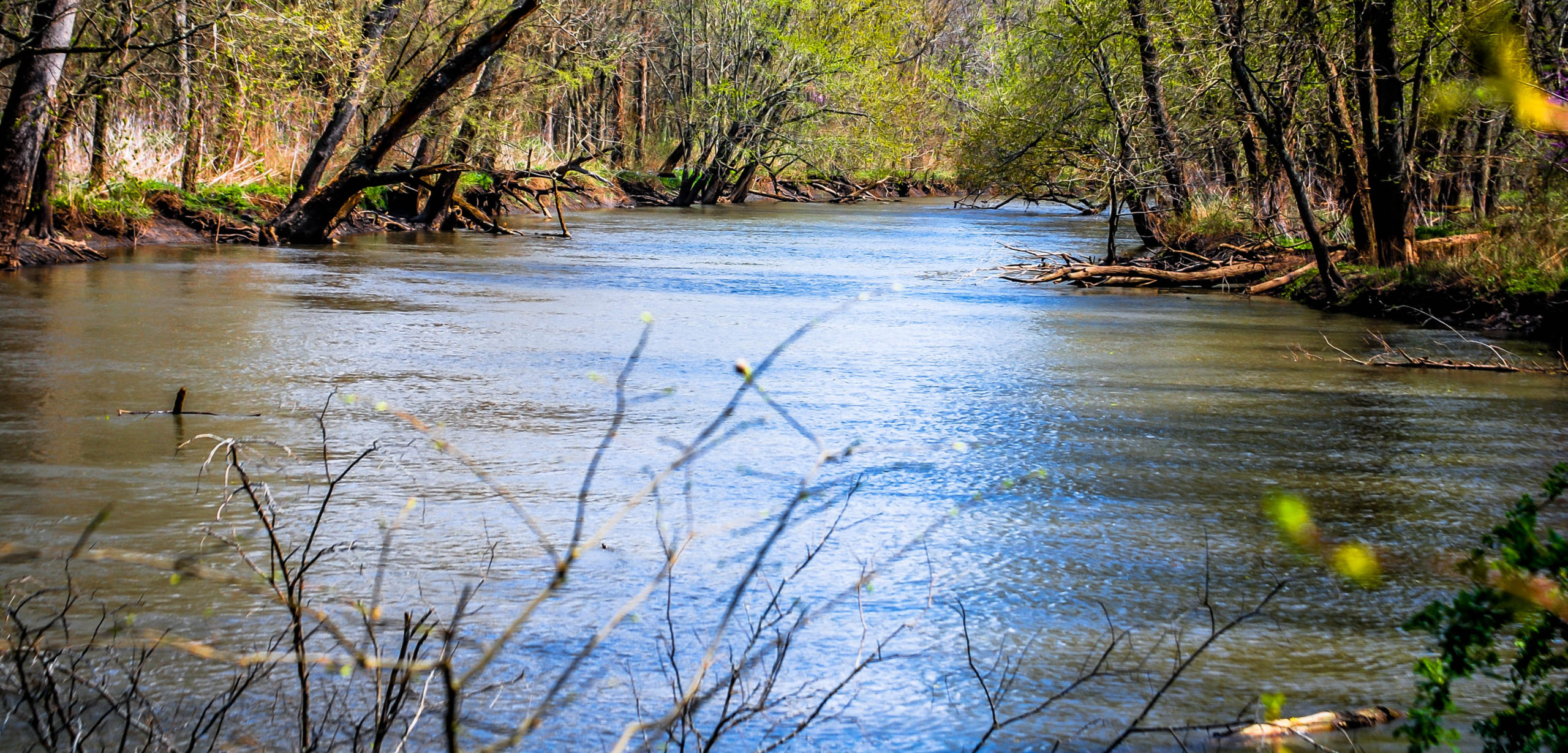 River Health & Resiliency - Prairie Rivers Network