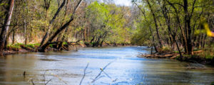 The Sangamon River at Allerton Park