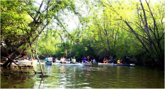 Run/Walk For Your Rivers - Prairie Rivers Network