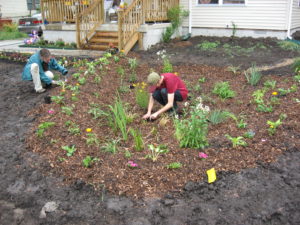 Rain garden installation