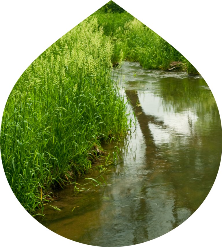 WETLANDS IN FOCUS PHOTO BLITZ - Prairie Rivers Network