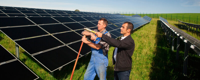 Two people standing between rows of solar panels in a grassy field.