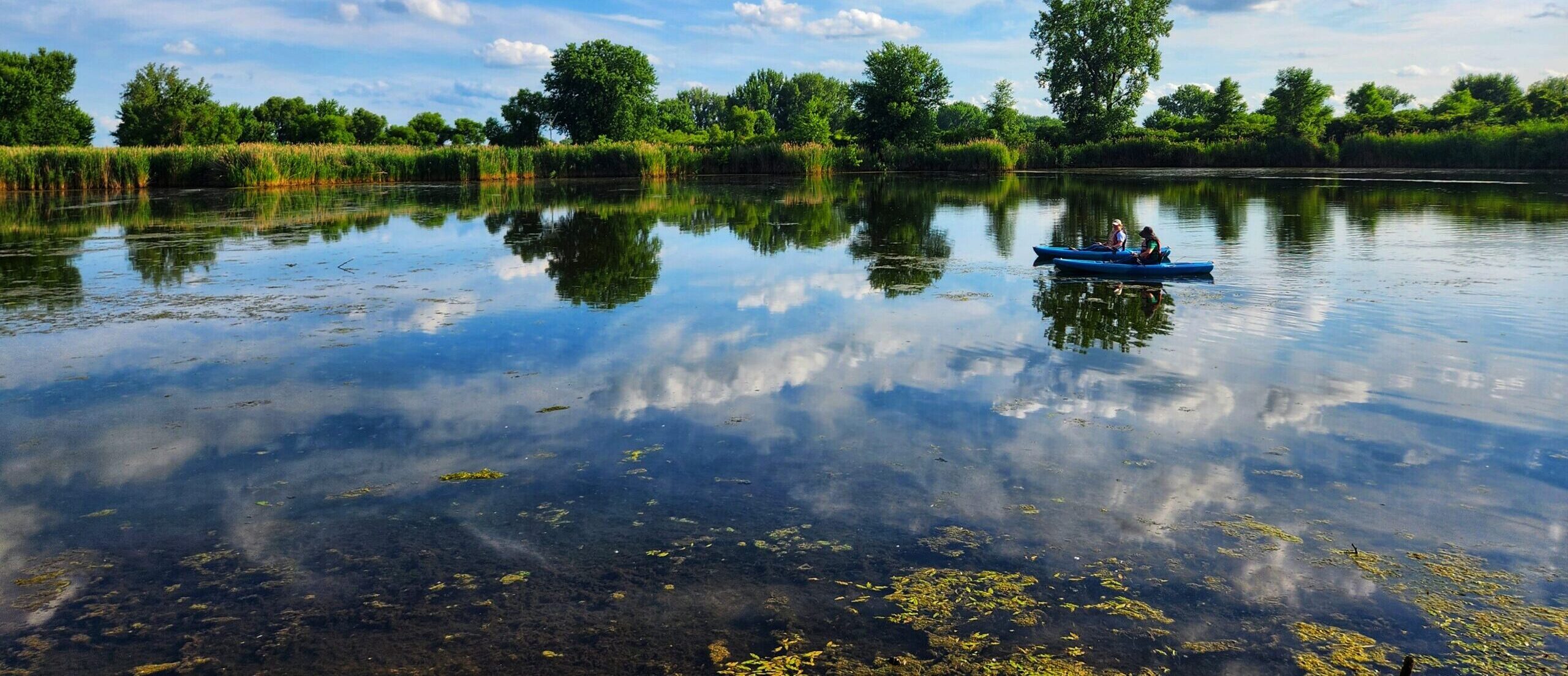 QCCA Wetlands Center