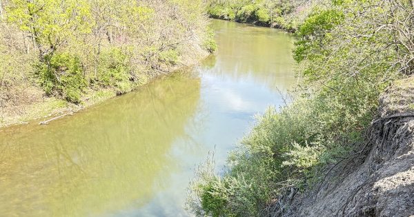 A small river and both banks.